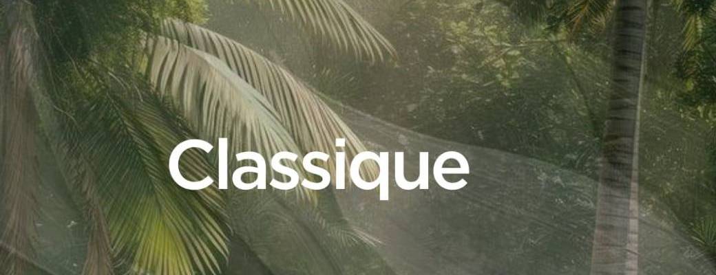 Classique débutants - Mercredi de 12h30 à 13h30