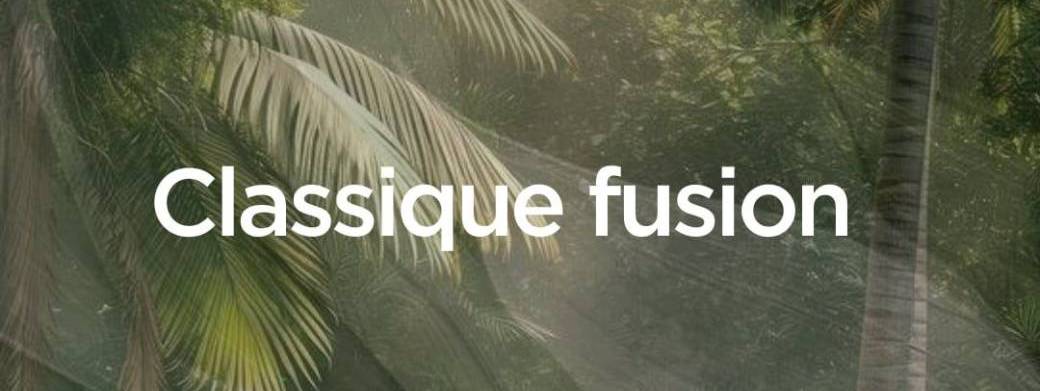 Classique fusion adultes - Mercredi de 19h15 à 20h45