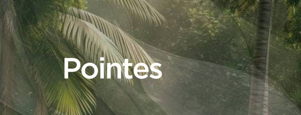 Classique Pointes - Mercredi de 18h45 à 19h15
