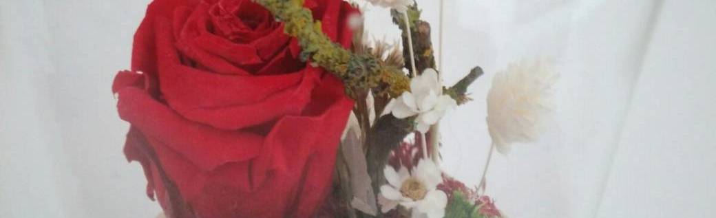 Cloche d'amour