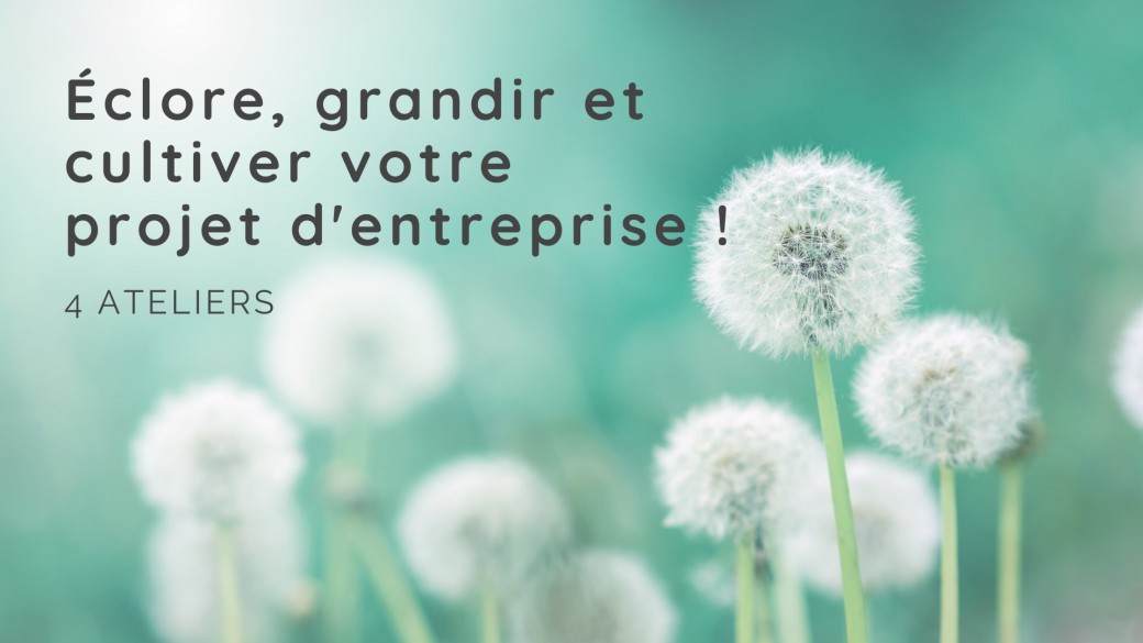 Éclore, grandir et cultiver votre projet d’entreprise