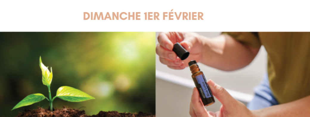 ÉCLOSION – le rendez-vous d’hiver.