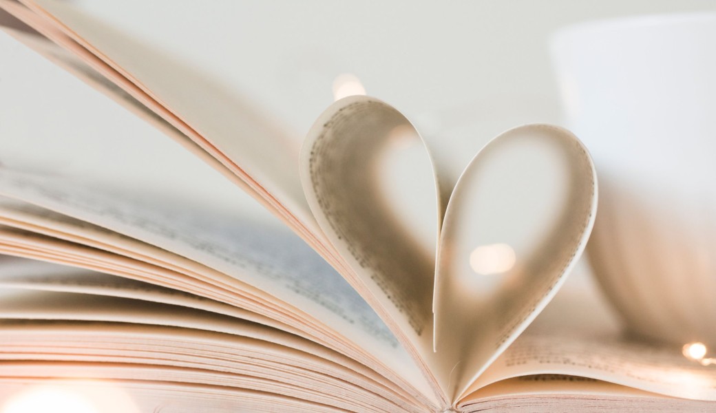 Club de lecture : les coups de coeur des bibliothécaires