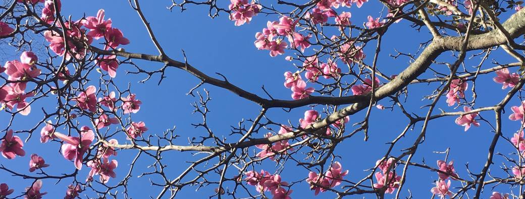 Atelier #1 : Comprendre, reconnaître et accueillir ses éco-émotions 