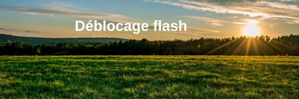 Coaching flash automne 2025