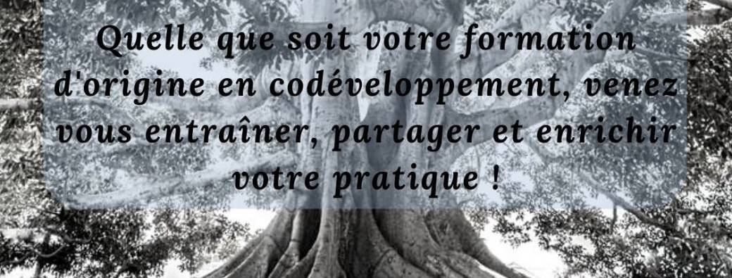 CODÉVELOPPEMENT : INTERVISION pour facilitatrices / facilitateurs Codev