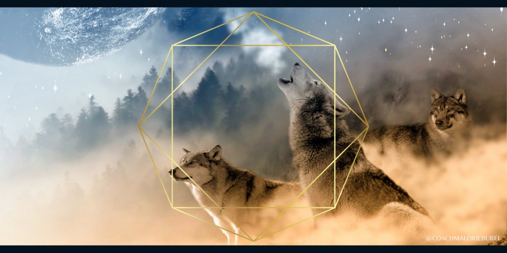Atelier « Cohérence cardiaque » + Voyage chamanique (rencontre avec son animal totem)