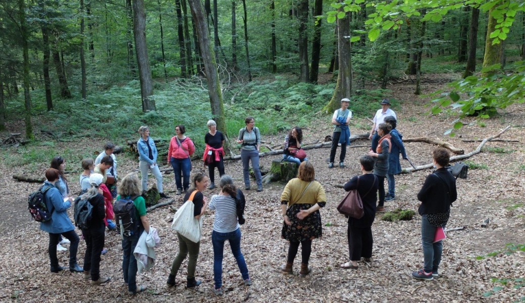 Collectif d'entr'aide école du dehors 90 
