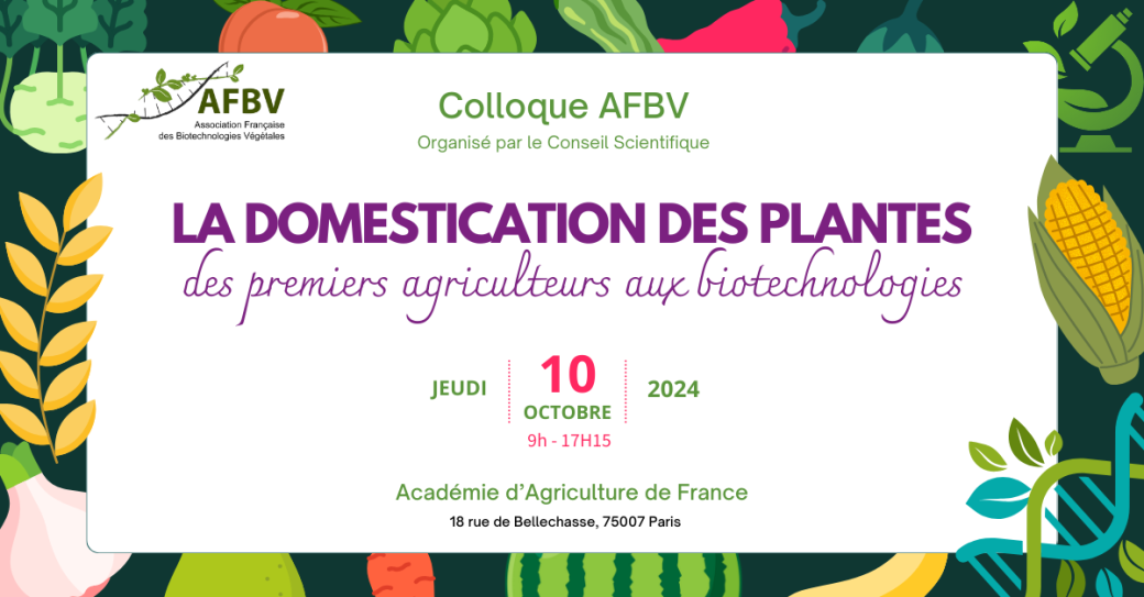 La domestication des plantes : des premiers agriculteurs aux biotechnologies