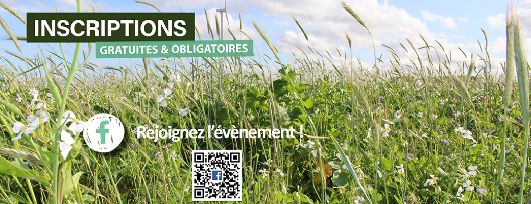 Colloque couverts d'interculture, apprendre à cultiver les services.