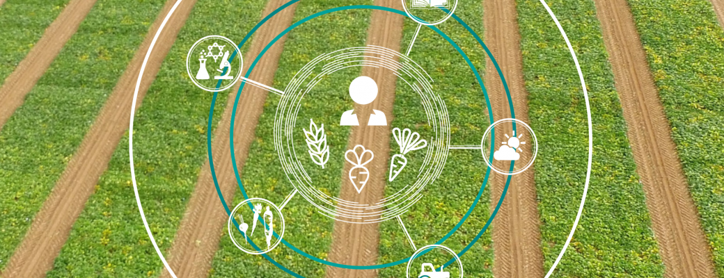 Vision de la création variétale Vision de la création variétale