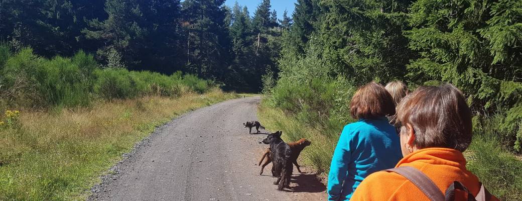 Colo Canissimo - 13/16 août 2026