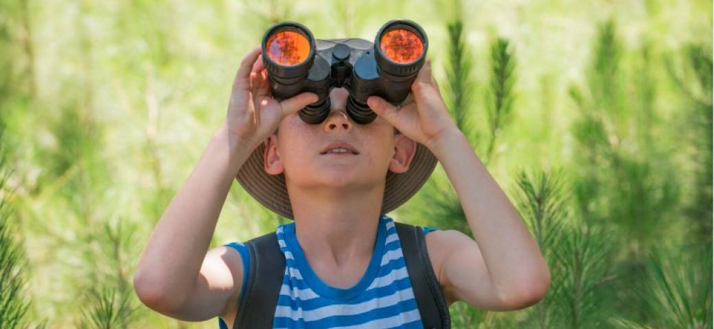 Les Colos Apprenantes