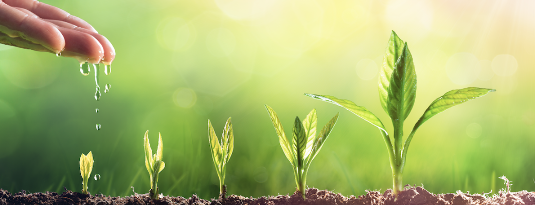 Combo Jeu  Accords Toltèques/Cercle de Pardon Nomain 22 octobre 2023