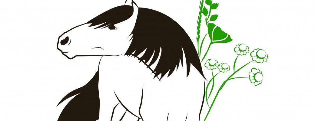 Commande "Equidés & plantes toxiques"