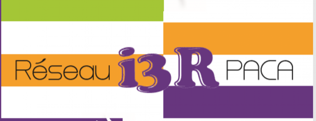 10 ans du réseau I3R Paca au service des organisations 