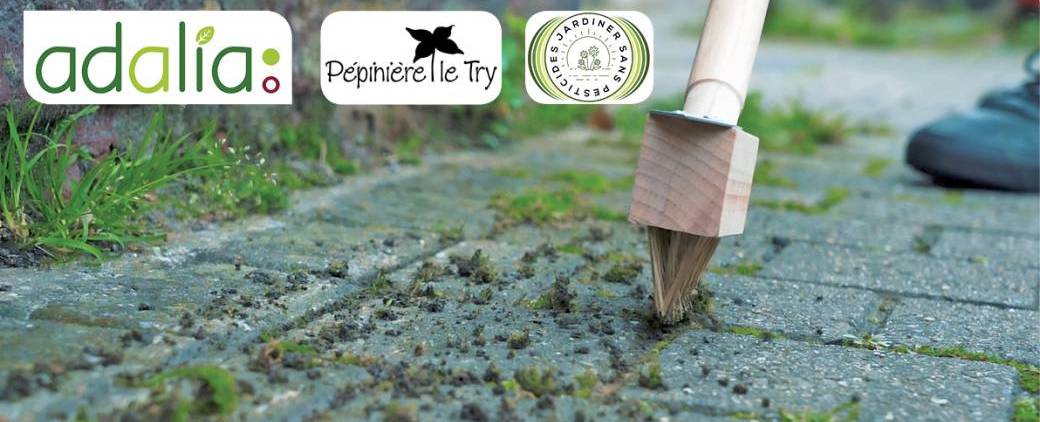 Comment désherber autrement son trottoir et son jardin (conférence + démo)