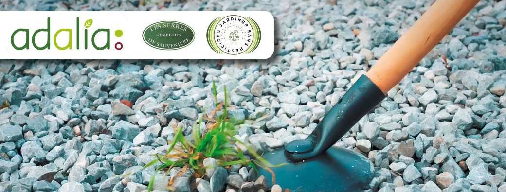 Comment désherber autrement son trottoir et son jardin ? (conférence)