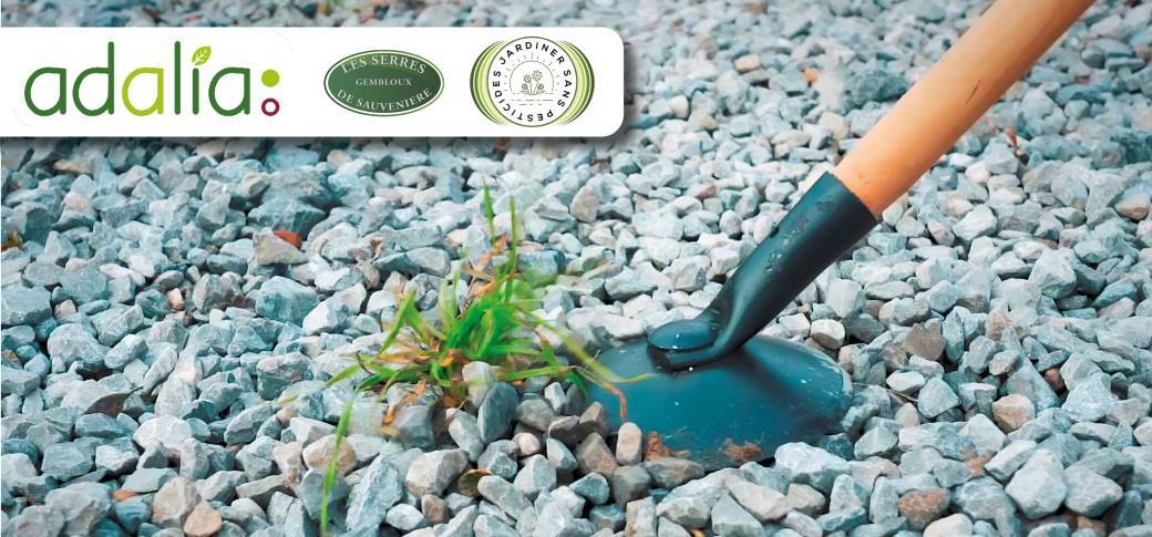 Comment désherber autrement son trottoir et son jardin ? (conférence)