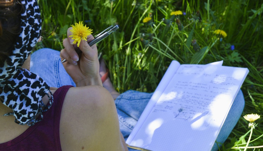 Comment les plantes se dispersent