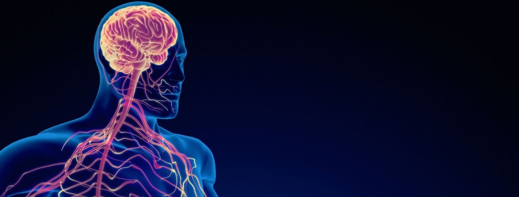 Comment optimiser ton système nerveux pour un alignement physique et émotionnel?
