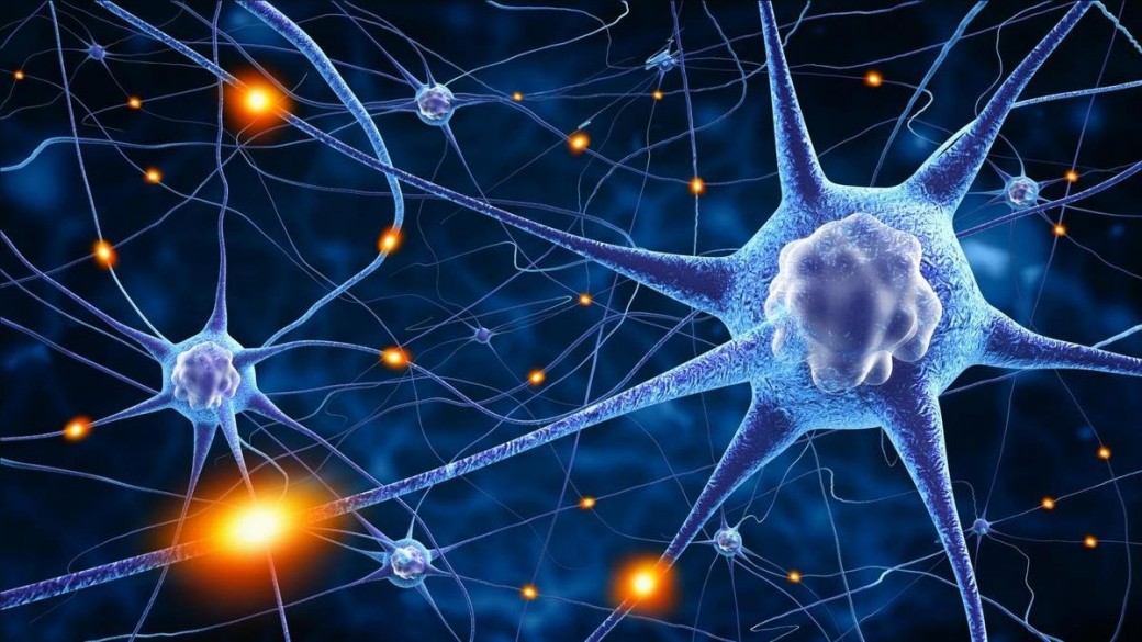 Comment renforcer vos talents grâce aux Neurosciences ?