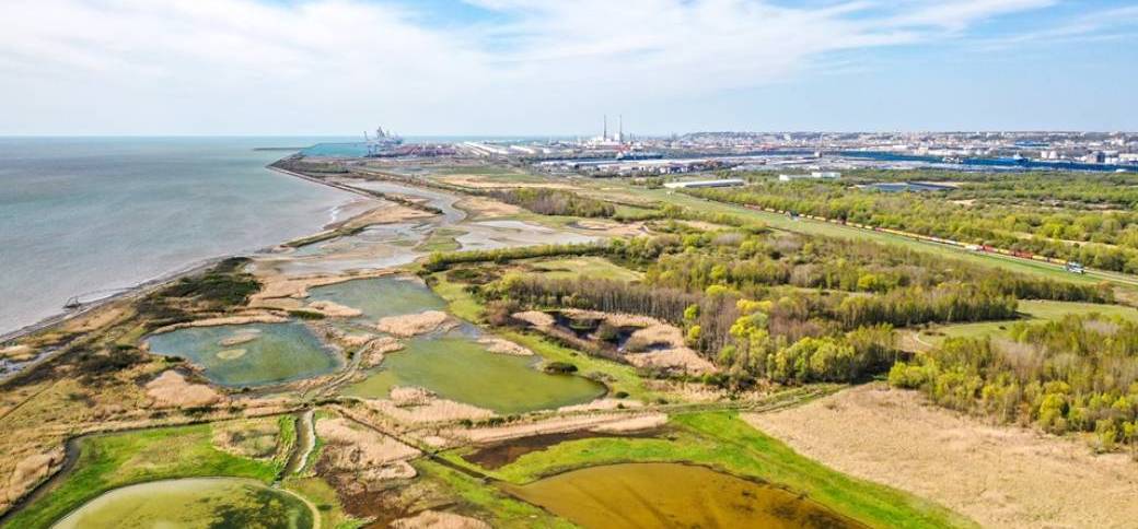Comment va l'estuaire de la Seine ? 