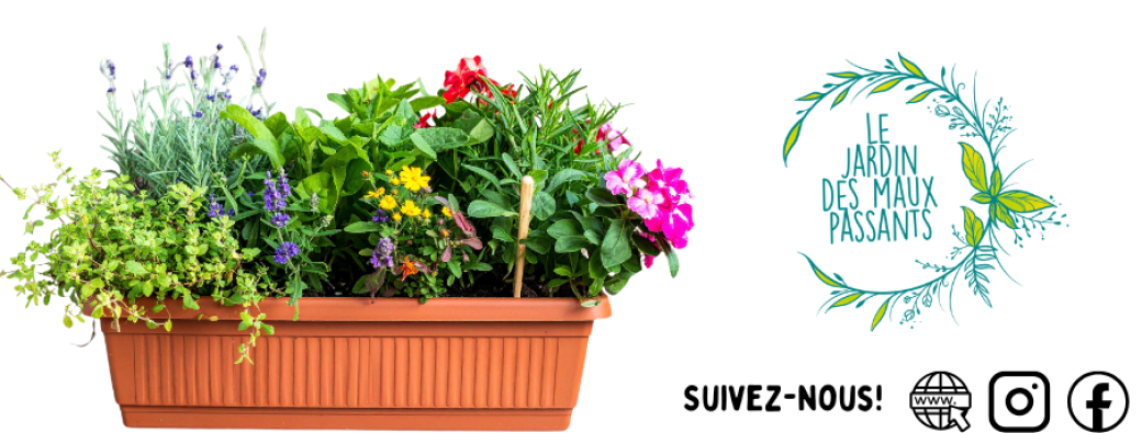 Composer votre jardinière