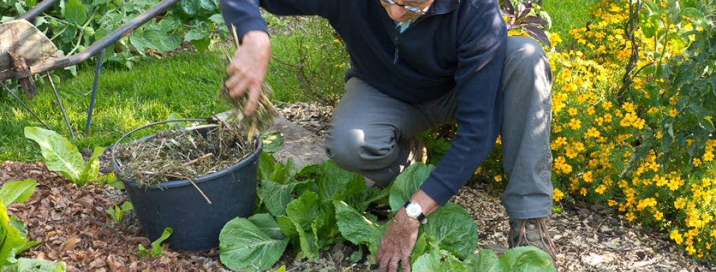Composts et paillages : pour un jardin sain, facile et productif - Denis Pépin