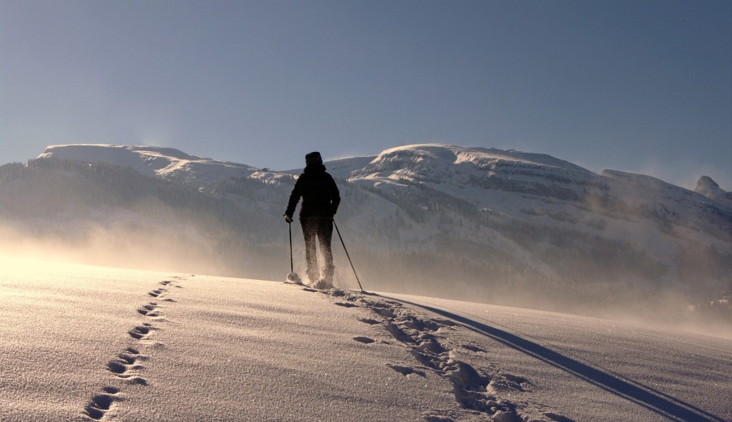 Comprendre la Trace raquettes – Nivologie pratique et gestion du risque d’avalanche  niveau 2