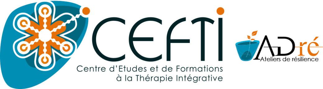 Conceptualiser un cas avec la thérapie des schémas