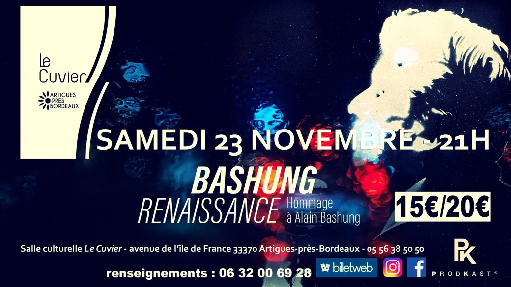 CONCERT BASHUNG RENAISSANCE - Hommage à Alain Bashung