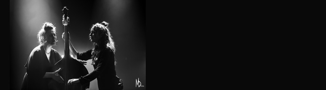 Concert : Daozi