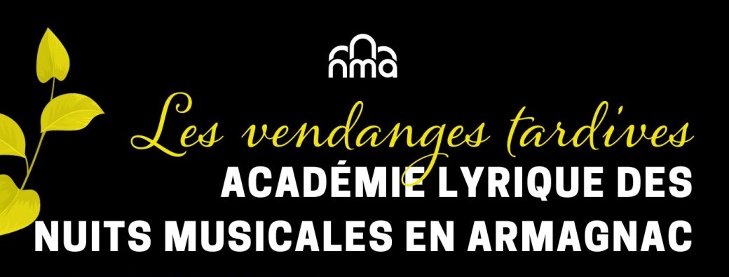 Concert de l'Académie Lyrique des NMA - Offenbach et Bizet