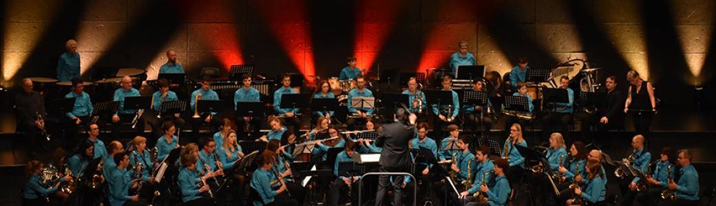 Concert de l'Ensemble Orchestral de la ville de HEM
