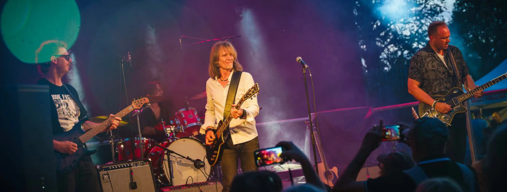 Concert debout : The Diamond Dogs (Tribute Bowie)