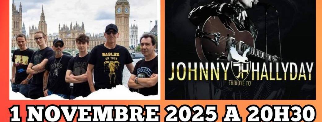 Concert Hommage Eagles et Johnny Hallyday