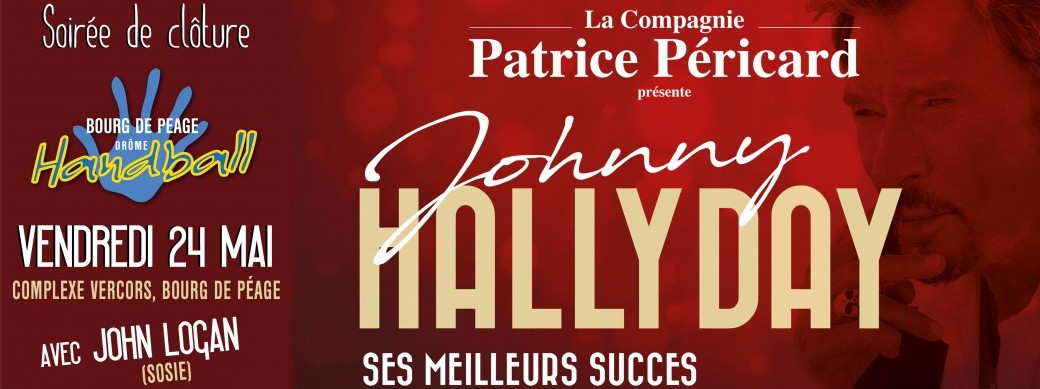 Les meilleurs succès de Johnny Hallyday