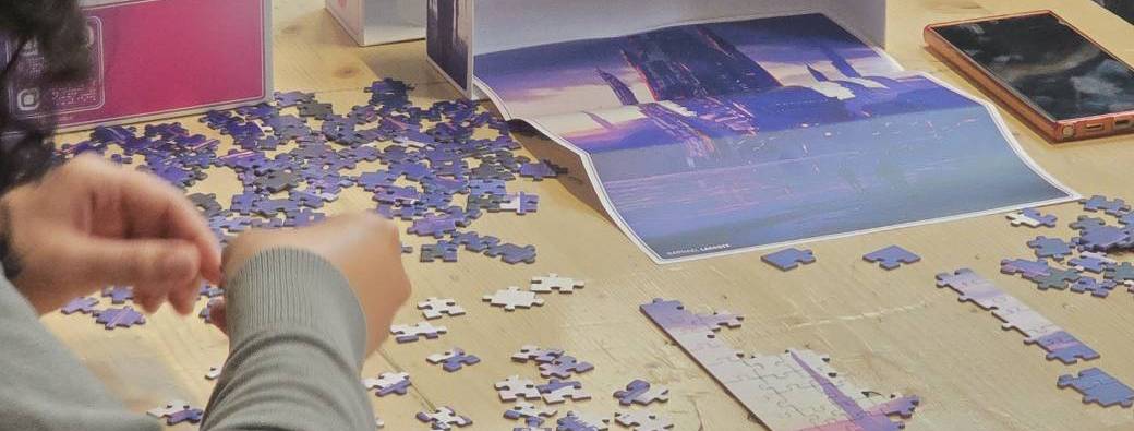 CONCOURS DE PUZZLE 500P EN DUO #8
