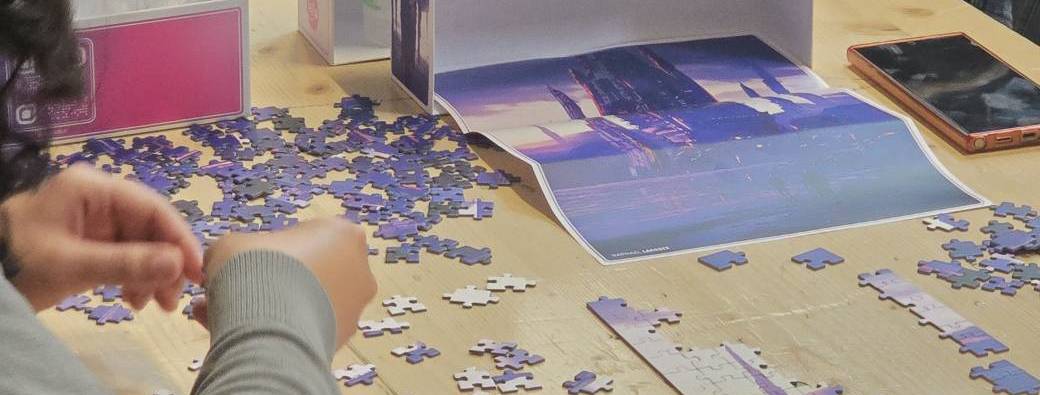 CONCOURS DE PUZZLE 500P EN DUO #9