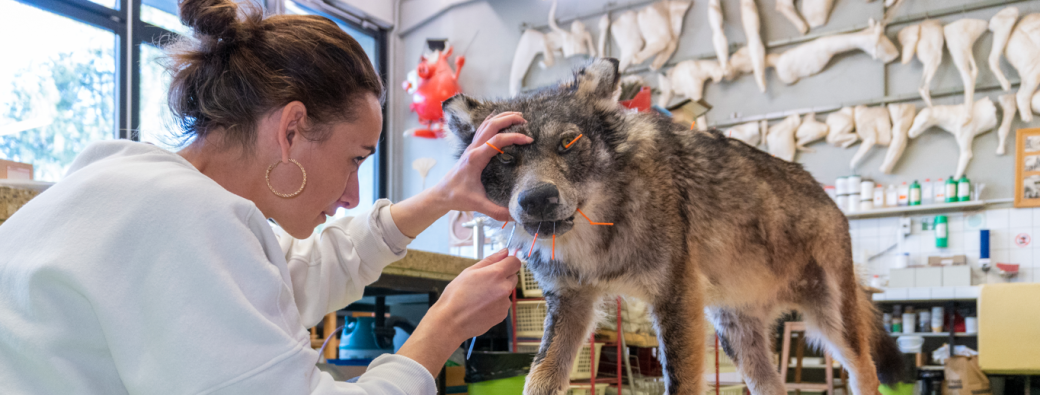 CONFÉRENCE : Plus vrais que nature !