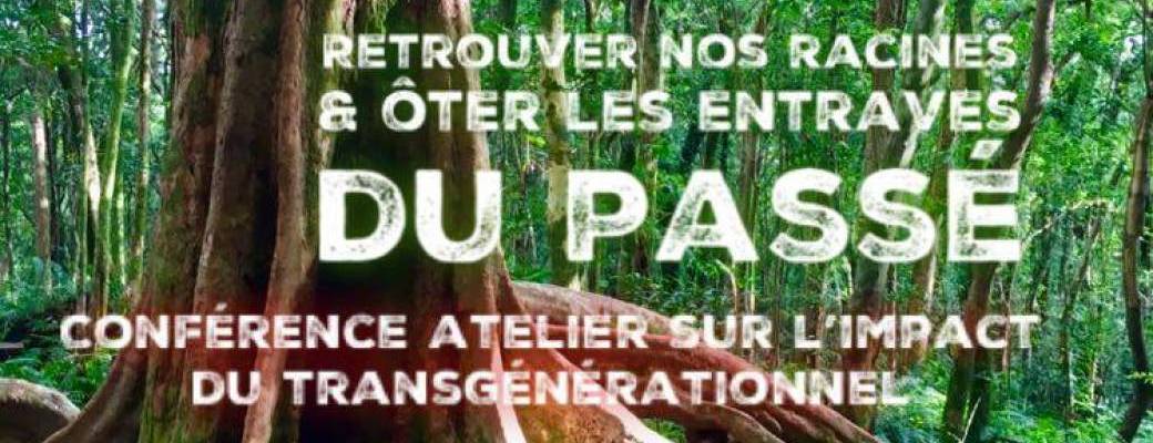 Visio Conférence-Atelier : "conférence-atelier : "Libérez l'énergie des mémoires transgénérationnel