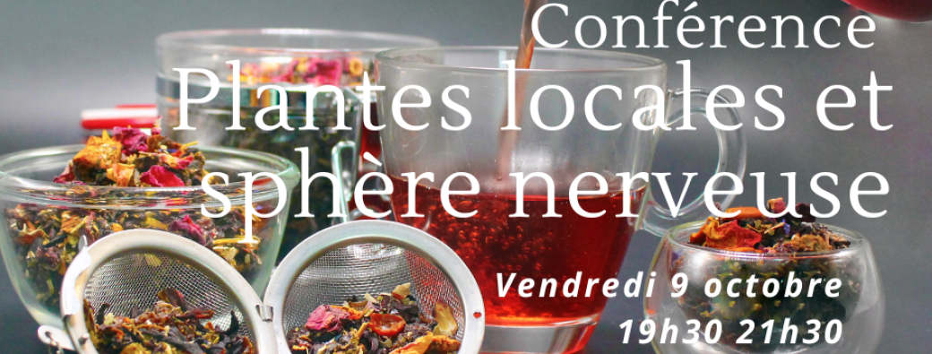 Conférence Atelier plantes sauvages locales et sphère nerveuse
