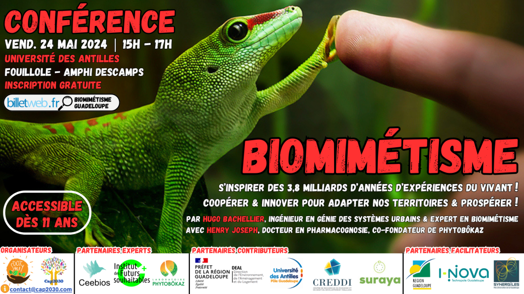 Conférence Biomimétisme | Guadeloupe