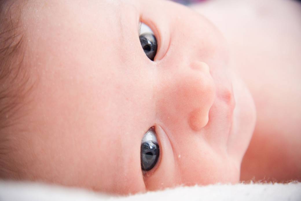 Conférence : Dans la tête des bébés