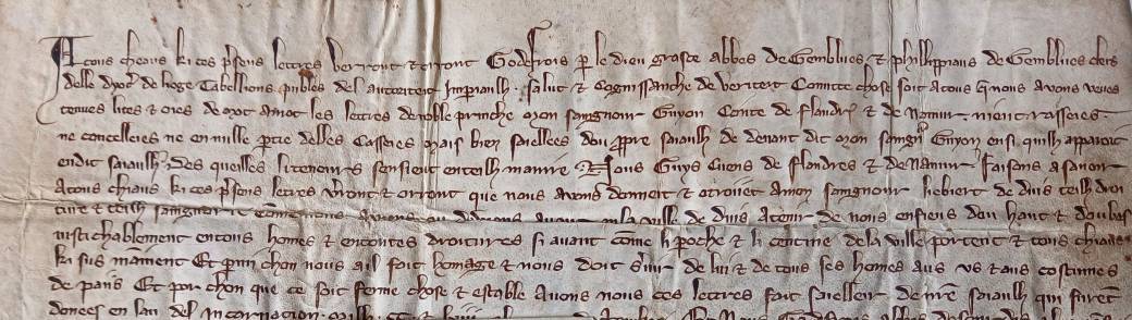 Un trésor caché de la BUMP : le fonds d'archives de Bergeyck (XIIIe-XIXe siècles)