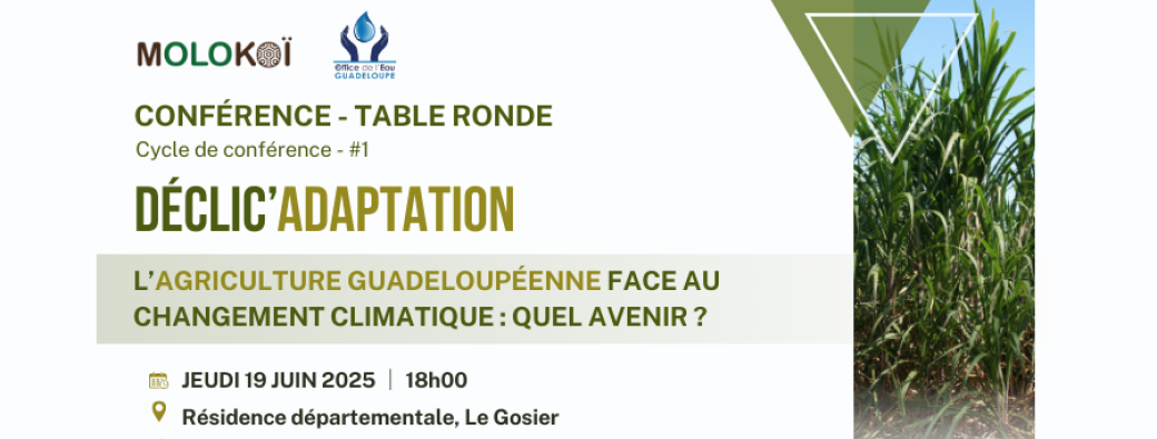Conférence Déclic'Adaptation
