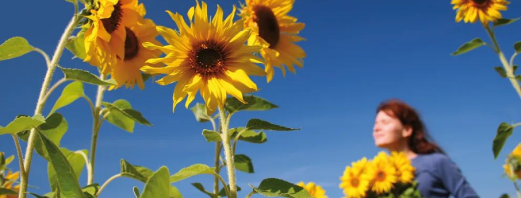 Conférence – Démonstration : “À la découverte de la CPA” avec Eileen Toursel