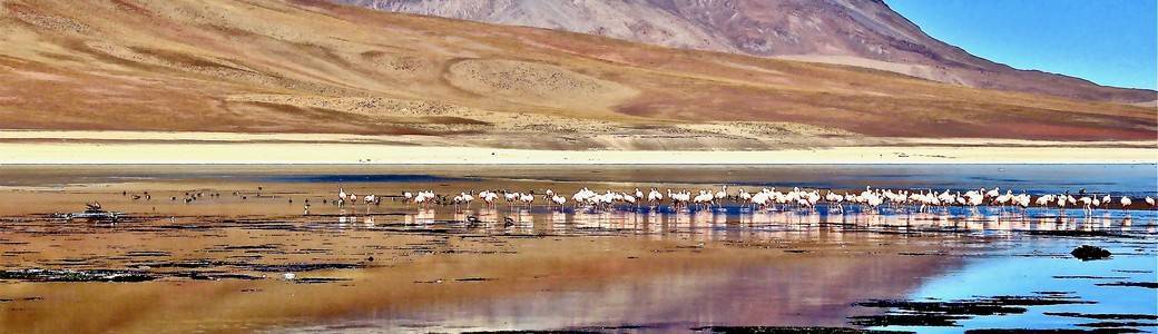 Conférence-diaporama : CHILI – BOLIVIE : Les déserts d'altitude