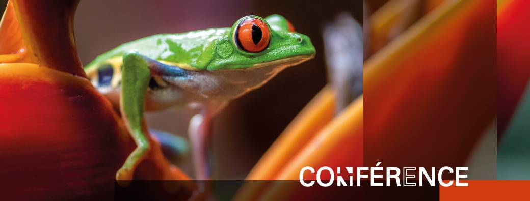 Conférence : diversité herpetologique de la peninsule d'osa